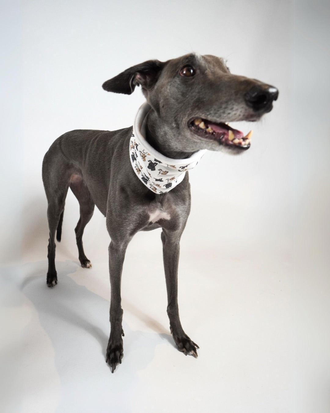 Dog Neck Snoods