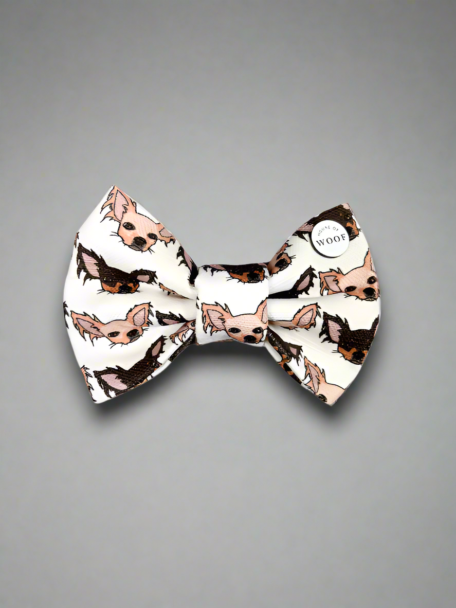 Chihuahua Long Haired Bow Tie