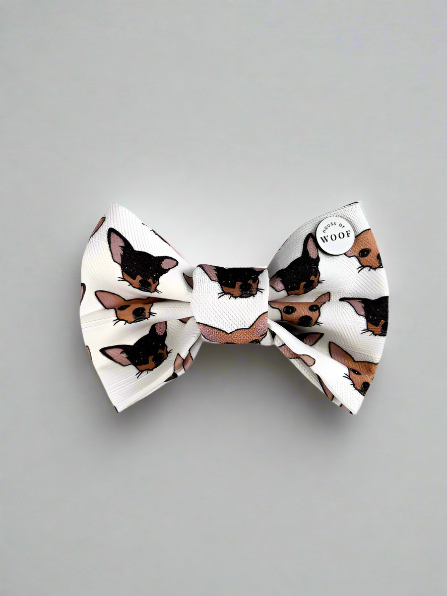 Chihuahua Short Haired Bow Tie