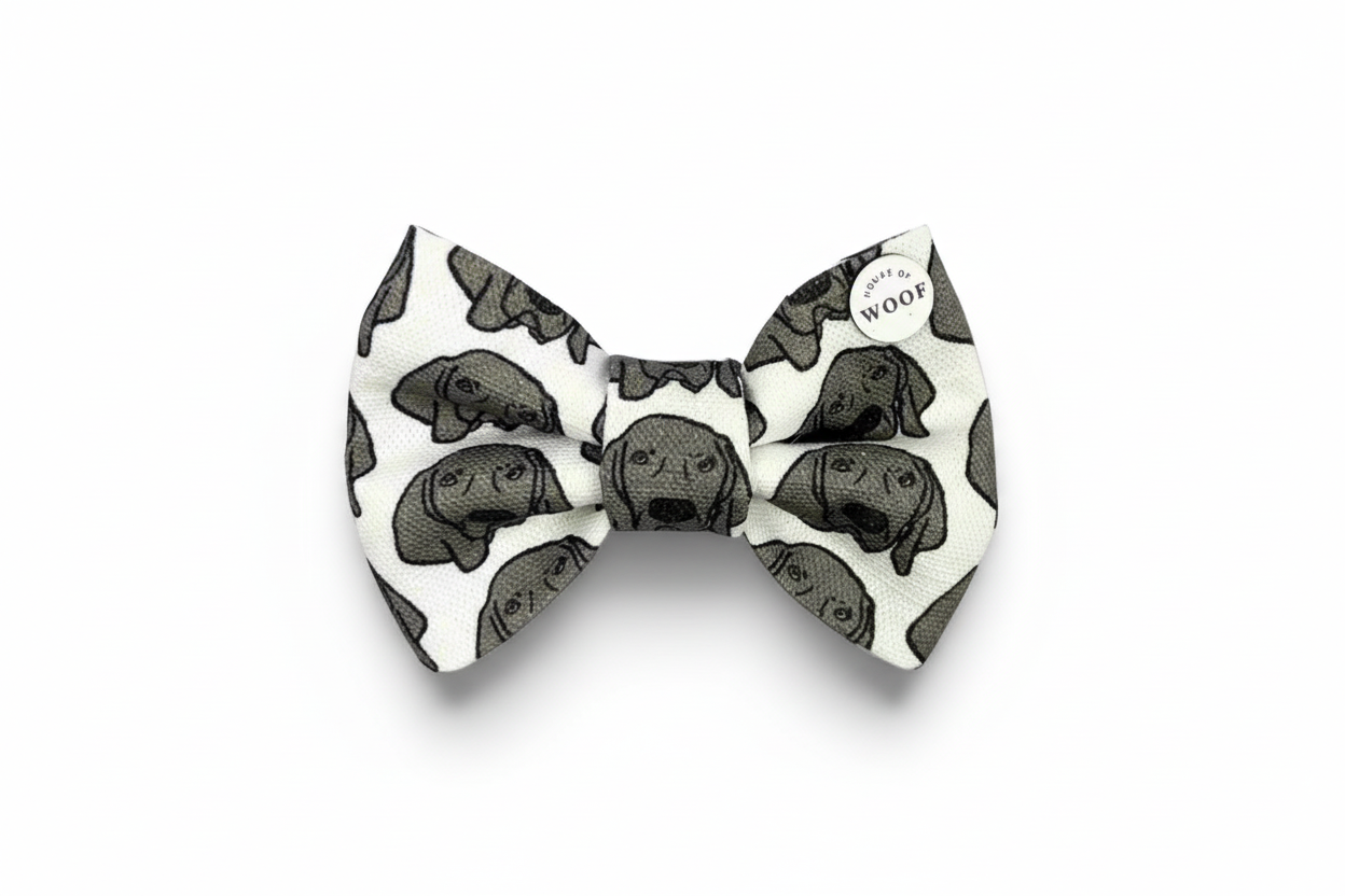 Weimaraner Bow Tie