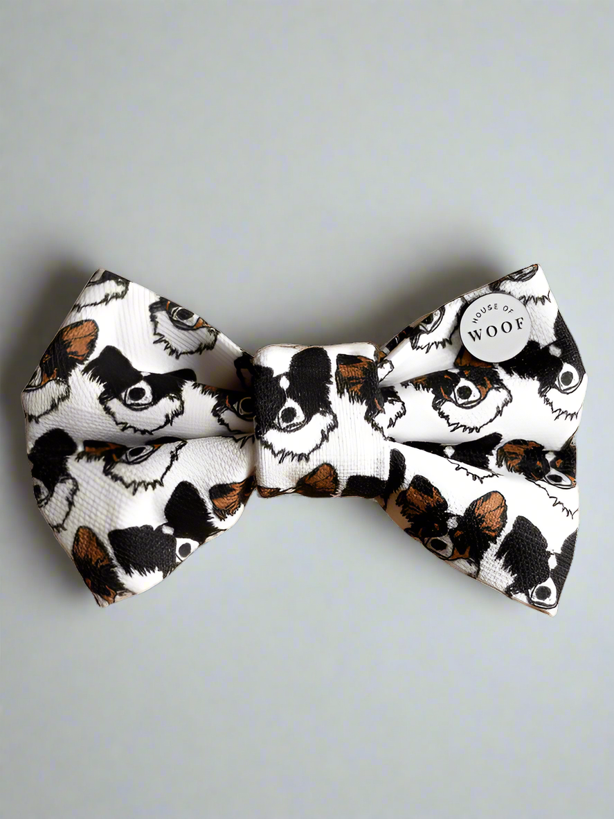 Papillon Bow Tie
