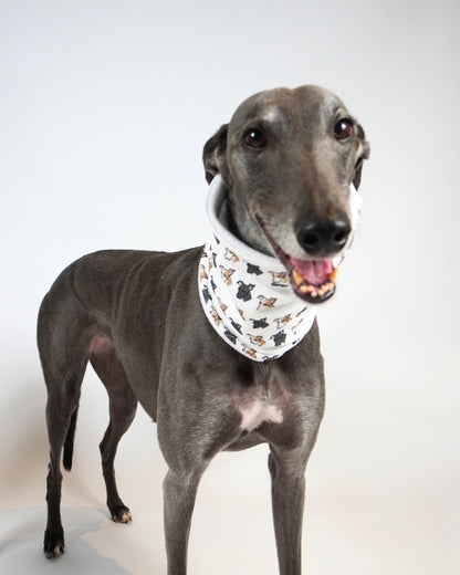 Dog Neck Snoods