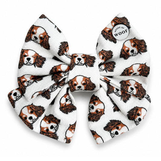 Cavalier King Charles Spaniel Sailor Bow
