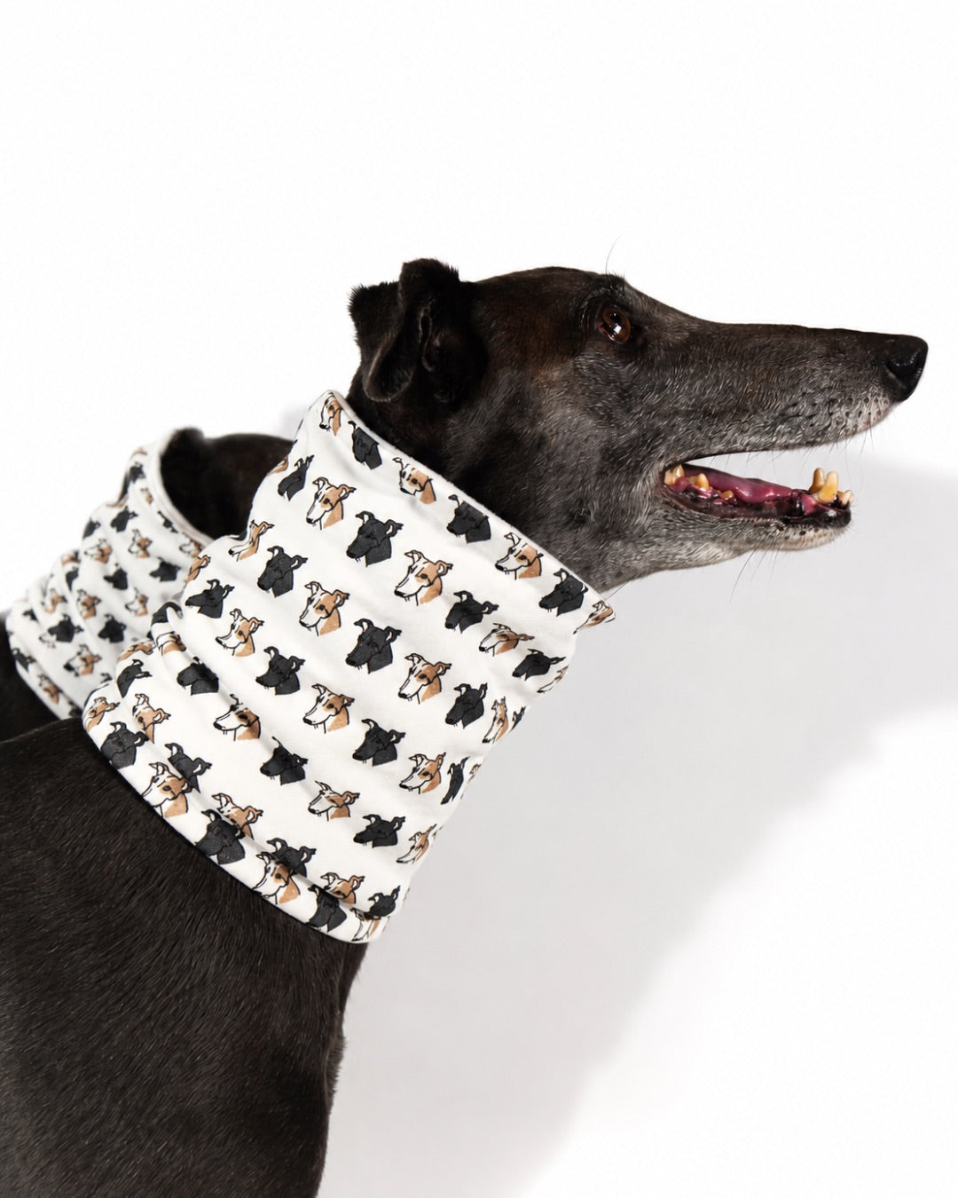 Dog Neck Snoods