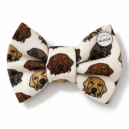 Labrador Dog Bow Tie