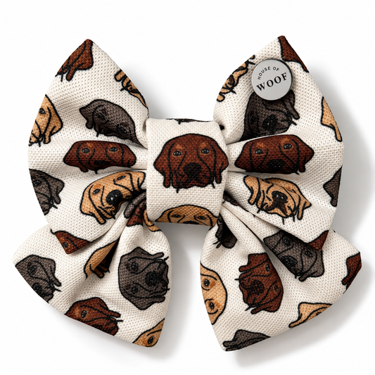 Labrador Dog Sailor Bow