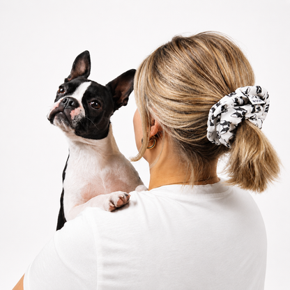 Boston Terrier Scrunchie