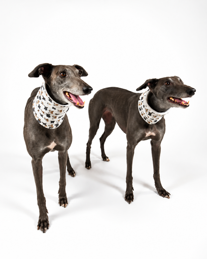 Dog Neck Snoods
