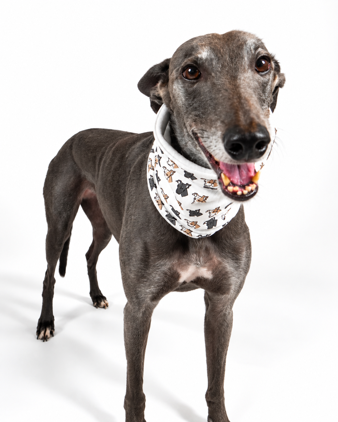 Dog Neck Snoods