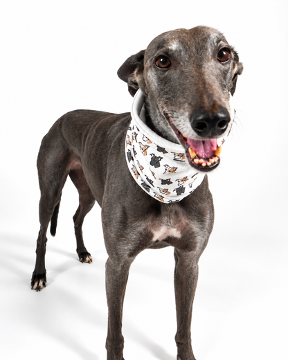 Dog Neck Snoods