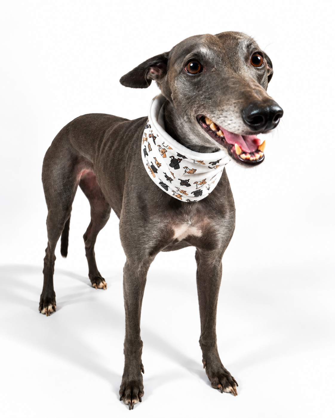 Dog Neck Snoods