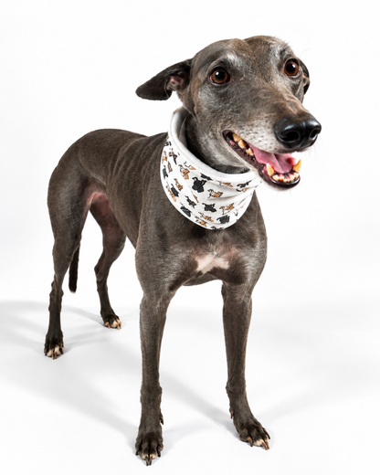 Dog Neck Snoods