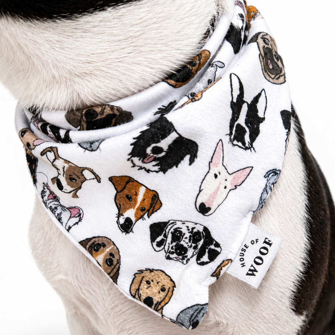 Dog wearing a bandana with dog faces pattern, brand 'House of Woof' visible.