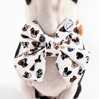 Dog wearing a patterned bow tie with a white background