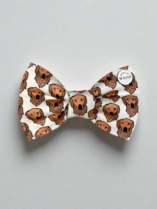 Golden Retriever Bow Tie