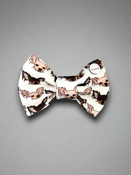 Chihuahua Long Haired Bow Tie
