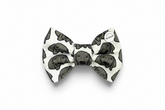 Weimaraner Bow Tie