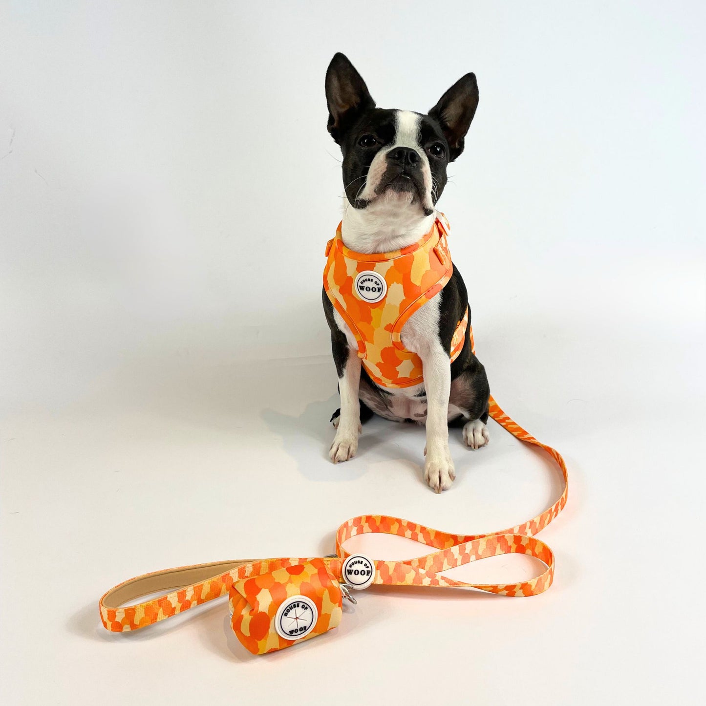 Boston Terrier wearing bright orange patterned dog harness with matching lead and poop bag holder by House of Woof, stylish coordinated pet accessory set