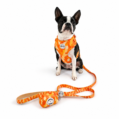 Dog Harness Set Bundle