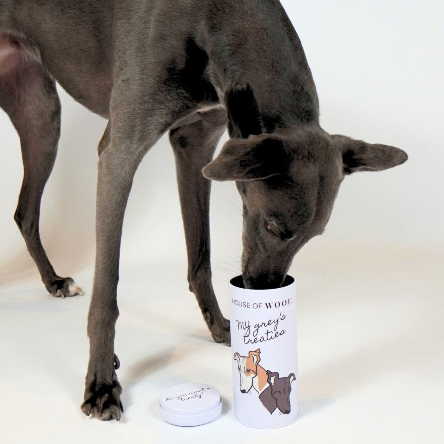 Dog interacting with a treat container labeled 'House of Woof' on a white background