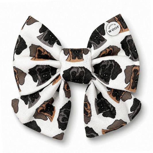 Great Dane Sailor Bow