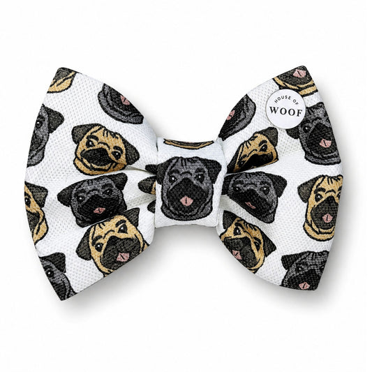 Pug Bow Tie