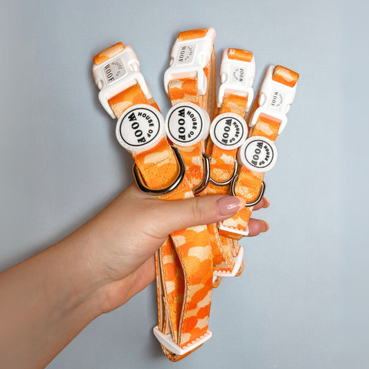 Hand holding four bright orange patterned dog collars with white buckles and House of Woof logo, stylish and durable handmade pet accessories.
