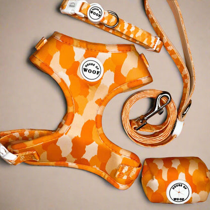 Bright orange patterned dog harness, matching lead, and poop bag holder set by House of Woof, stylish and coordinated pet accessories.