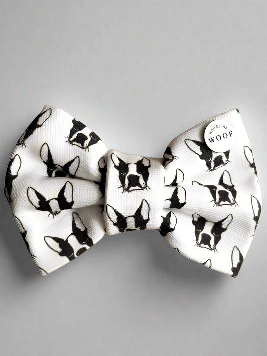 Boston Terrier Bow Tie