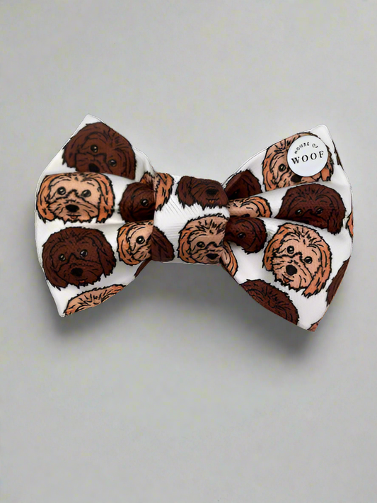 Cavoodle Bow Tie
